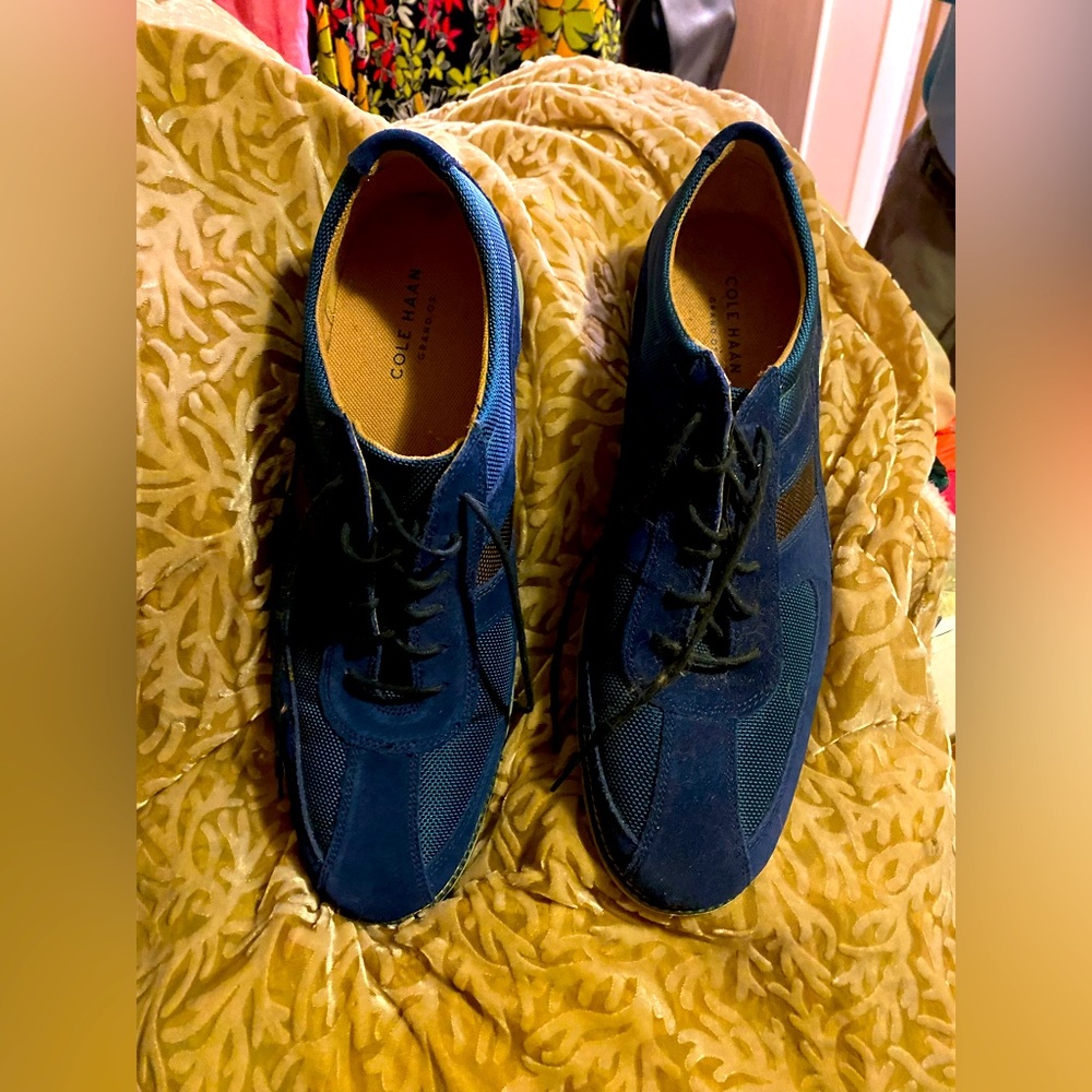 Cole Haan Men’s Blue Suede Shoes